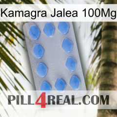 Kamagra Jelly 100Mg 21